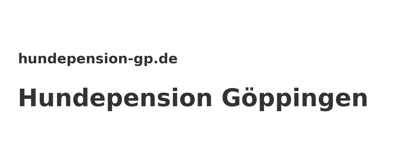 Hundepension Göppingen – Hund im Freilauf